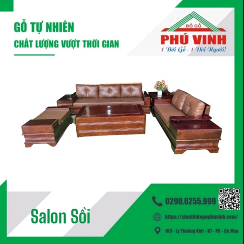 Salon Sồi Lau Màu Ốc Chó