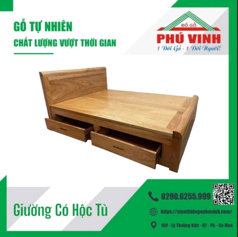 Giường Đài Loan, Sạp Phảng ( Có Hộc Tủ )