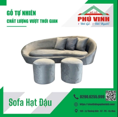 Băng Thư Giản Hạt Đậu Nhỏ