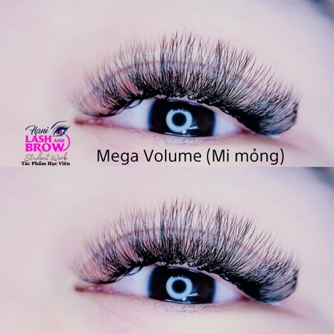 Địa chỉ nối mi Volume TpHCM xóa mờ mọi khuyết điểm nhờ kỹ thuật Luxury Lashes