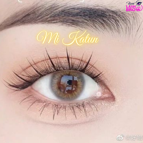 Nối mi Katun hợp với mắt 1 mí không? Vì sao?