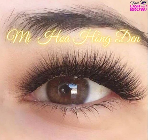 Giá nối mi là bao nhiêu, ở đâu đẹp?