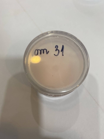 Bột Pink (có nhũ) 30gr