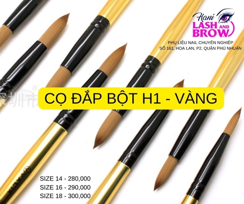 CỌ ĐĂP BỘT VÀNG  (18m)