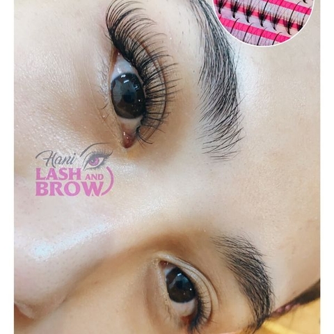 LÔNG MI WISPY KATUN - SIÊU HOT