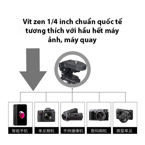 Tripod điện thoại Yunteng VCT-5208
