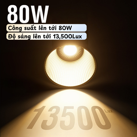 Đèn cầm tay quay phim ZU80 80W