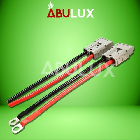 Cặp Phích cắm cổng Pin lifepo4 chuyên dụng