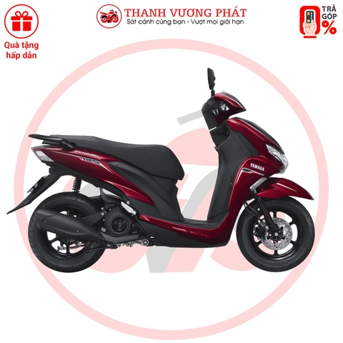 FreeGo 2025 – Phiên bản Tiêu chuẩn