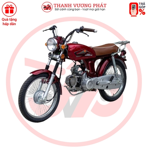 XE MOTOR VICTORIA CD67 2025