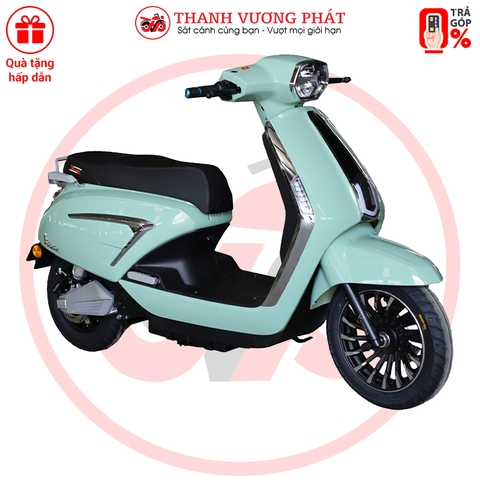 XE MÁY ĐIỆN VICTORIA V89