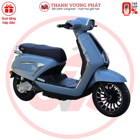 XE MÁY ĐIỆN VICTORIA V89