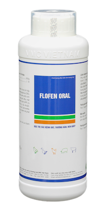 FLOFEN ORAL