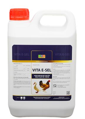 VITA E - SEL