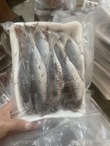 Cá nục 1 nắng loại nhỏ (25-30) khay 480g