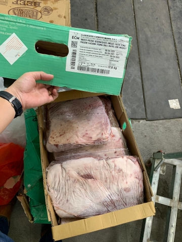 GẦU BÒ TÂY BAN NHA ECM ( Thùng xanh)