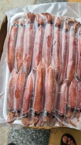 Mực ghim trứng A 9-12A net8 - khay 1kg
