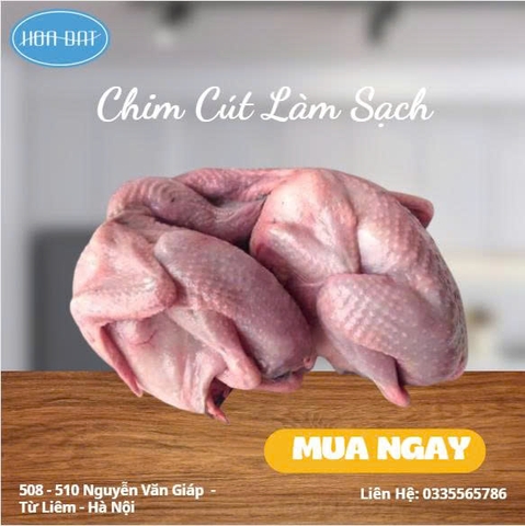 Chim cút nguyên con làm sạch 80 con/ thùng