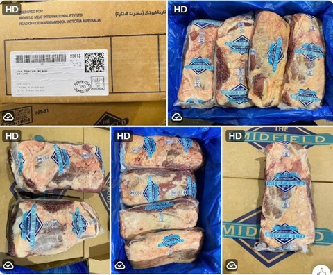 LÕI VAI BÒ ÚC MIDFIELD