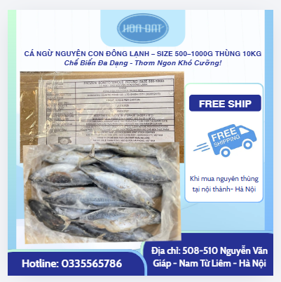 CÁ NGỪ NGUYÊN CON ĐÔNG LẠNH – SIZE 500–1000G THÙNG 10KG