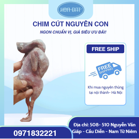 Chim cút nguyên con làm sạch 80 con/ thùng