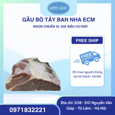 GẦU BÒ TÂY BAN NHA ECM ( Thùng xanh)