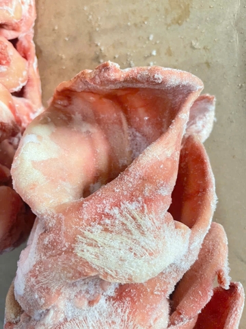 TAI HEO TÂY BAN NHA RIVASAM ĐÔNG LẠNH – THÙNG 10KG