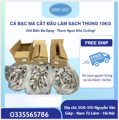 CÁ BẠC MÁ LÀM SẠCH - CẮT ĐẦU | ĐÓNG THÙNG 10KG | SIZE 10 CON/KG