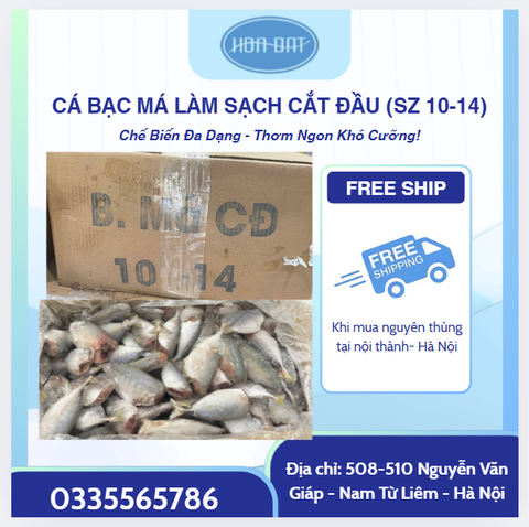 CÁ BẠC MÁ LÀM SẠCH - CẮT ĐẦU - ĐÓNG THÙNG 10KG ( sz10-14)