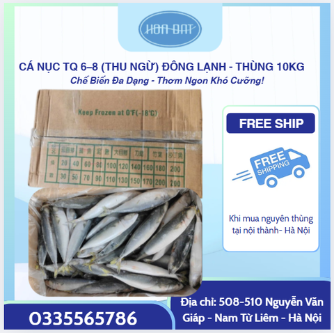 CÁ NỤC TQ 6–8 (THU NGỪ) ĐÔNG LẠNH - THÙNG 10KG