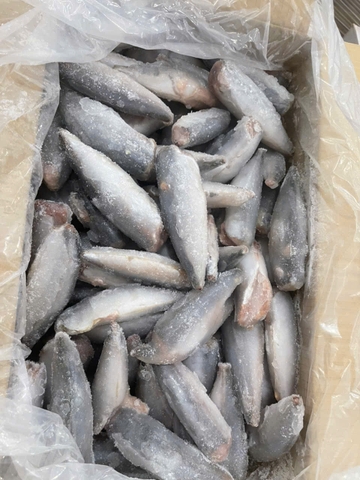 Cá Nục Gai Cắt Đầu size 20-24 con/kg ( thùng 10kg)
