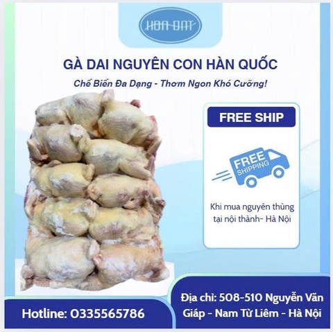 Gà dai nguyên con Hàn Quốc (đủ sz: 10D4, 10D5, 10D6, 10D7 )