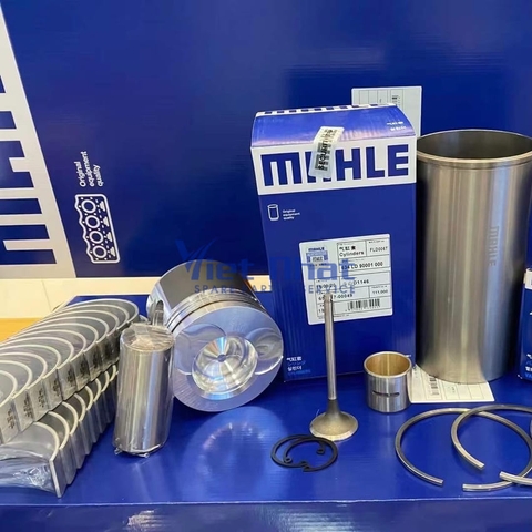 Bộ hơi động cơ D1146 Mahle