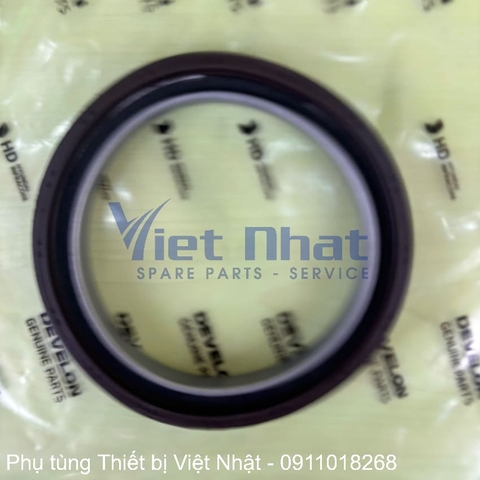 Chi tiết các lỗ nước và vùng làm kín trên gioăng quy lát DE08.