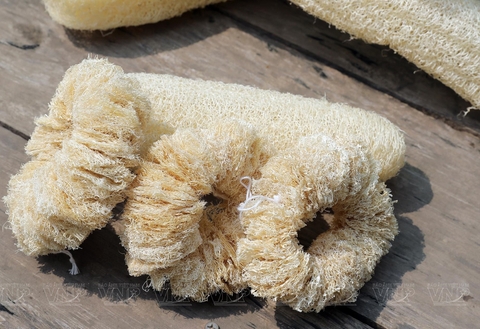 Nhiều người dùng xơ mướp nhưng không biết hết những lợi ích này