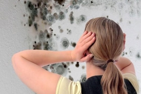 4 Nguy Cơ Ẩm Mốc Bạn Không Nhìn Thấy – Cách Xử Lý Đơn Giản Tại Nhà