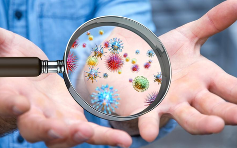 5 sự thật thú vị về vi khuẩn trên tay mà bạn chưa biết