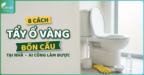 8 cách tẩy ố vàng bồn cầu tại nhà đơn giản, ai cũng làm được
