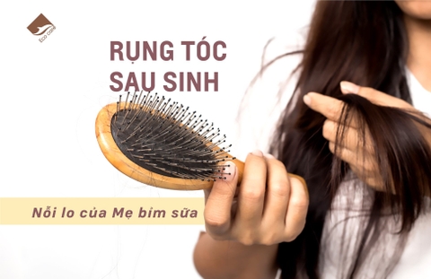 Dầu gội Dầu xả Thảo Dược True Organic Ecocare chăm sóc tóc chuyên sâu