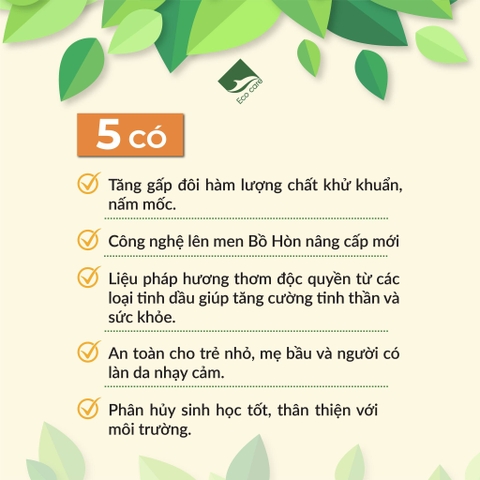 [Premium] Nước giặt xả hữu cơ cao cấp Bồ Hòn tinh dầu Hoa nhài ECOCARE