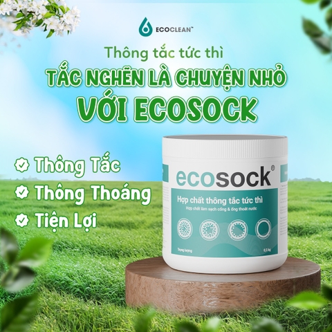 Bột Thông Cống Tức Thời EcoSock - Hộp 500g - Nhanh chóng và An toàn