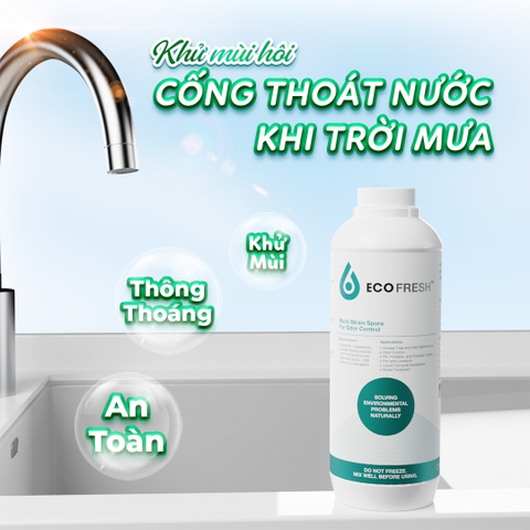 Ecoclean FRESH - Vi Sinh Xử Lý Mùi Hôi Ống Cống, Lỗ Sàn, Bồn Rửa - Chai 1 lít