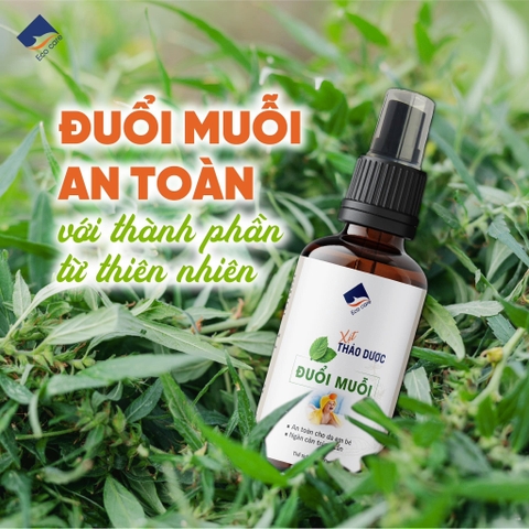 Xịt Thảo Mộc Chống Muỗi Đốt Ecocare (Xịt Body), Ngăn Côn Trùng Cắn 50ml