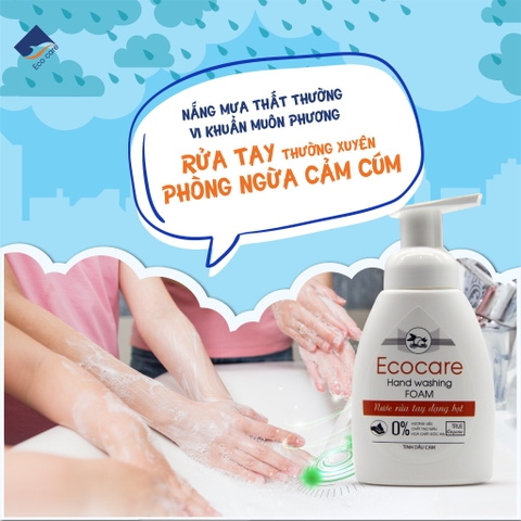 Nước Rửa Tay Bồ Hòn Hữu Cơ ECOCARE 250ml -Sạch khuẩn, chăm sóc da tay, tinh dầu khử mùi