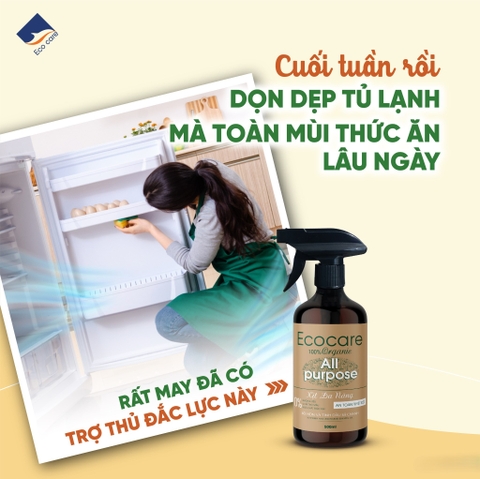 Xịt Chùi Rửa Đa Năng Bồ Hòn Hữu Cơ ECOCARE 4 lít - Tặng vỏ chai 500ml