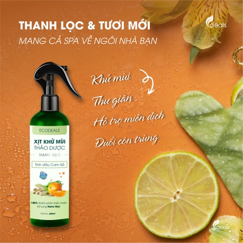 Xịt Khử mùi Kháng khuẩn Nano Bạc ECODEALS - Tinh dầu Cam Sả