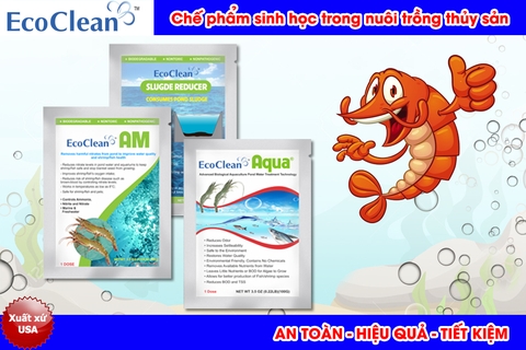EcoClean AM - Men Vi Sinh Xử Lý Khí Độc Trong Ao Nuôi Tôm, Cá - 100g