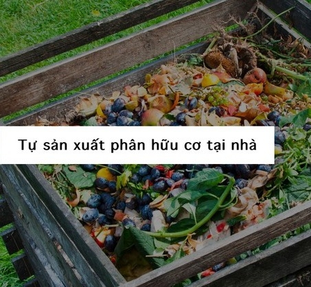 EcoClean COMPOST - Men vi sinh ủ phân nhập khẩu Mỹ - Gói 100g