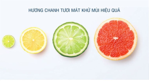 Vi sinh Tẩy Ố, Diệt Khuẩn, Chống tắc nghẽn bồn cầu Bio Enzymatic