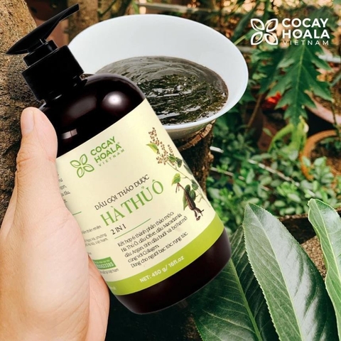 Dầu gội thảo dược Hà Thủ Ô 2 in 1 Cỏ Cây Hoa Lá - Chai 450g